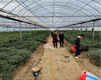 伍市镇 多措并举，织密织牢疫情防控期间水产养殖质量安全网