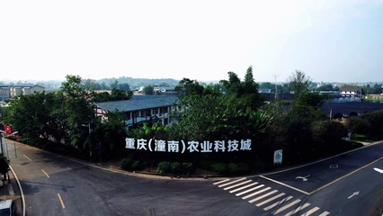 潼南农业 特色农产品种植的繁荣图景与发展路径