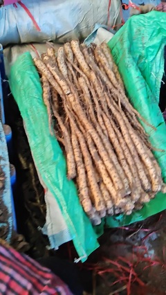 从铁棍豆苗到江湖传说 不会武功的郭大侠如何扎根农产品种植