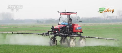 算力织网，智绘“三农”新蓝图 科技赋能农产品生产向优、向绿、向新