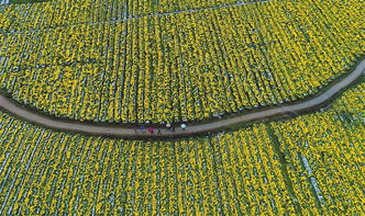 赣州农业产业扶贫 水产养殖奏响攻坚曲，扶出好“钱”景