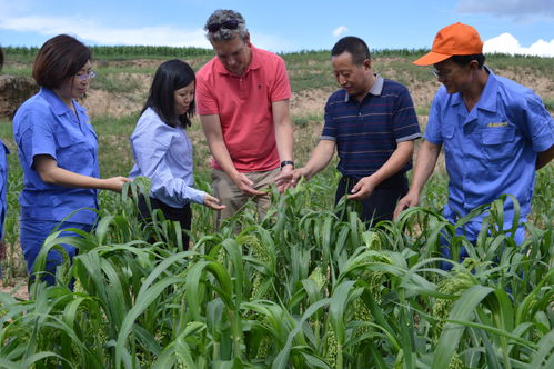 天镇“新渔歌” 特色水产养殖开辟优质农产品出海新航道