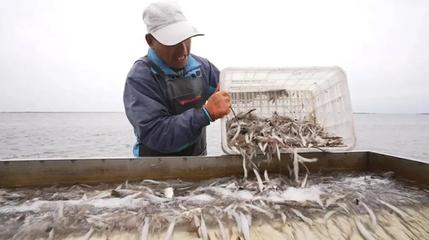 金秋龙江庆丰收，鱼米满仓振三农——写在中国农民丰收节