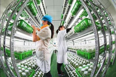 漫谈｜各司其职完善产业链，让农民种上放心田——水产养殖篇